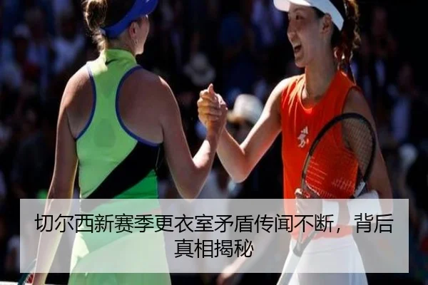 img_1783242210366_619_2_915.jpg